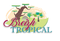 Breizh Tropical